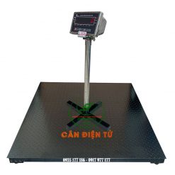 Cân sàn điện tử DS-29SS